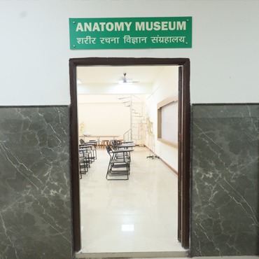 anatomy_museum_1