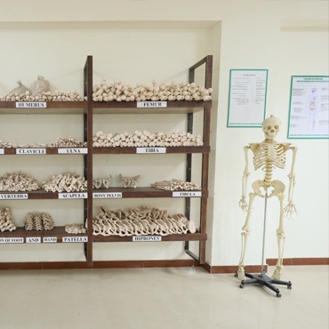 anatomy_museum_1