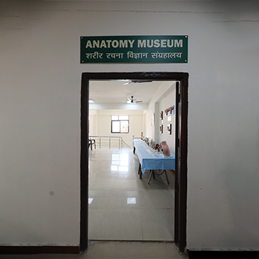 anatomy_museum_2